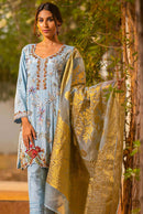 ARTIC BLUE - image 1