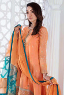 TANGERINE PINE - image 4