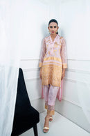 CORAL REEF - image 4